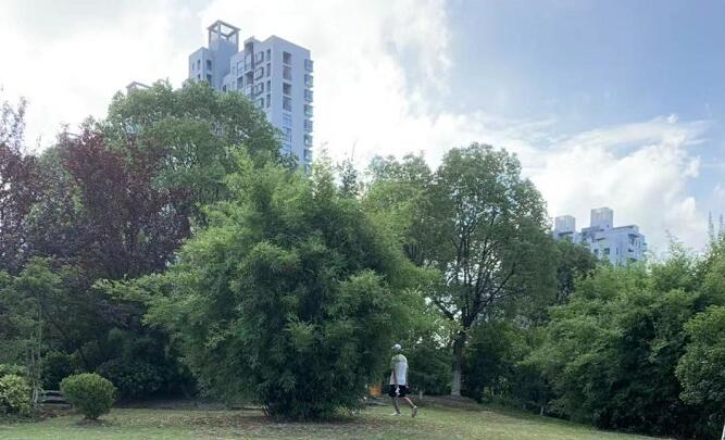 任志強(qiáng)談青島房價(jià)走勢