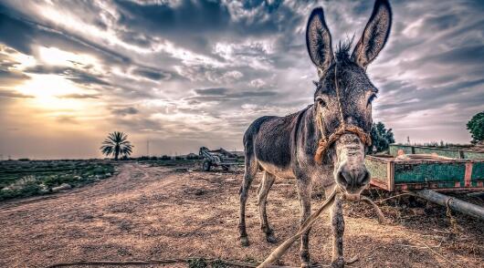 智利將新冠肺炎死亡病例計入治愈