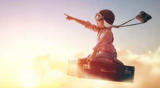 美國養(yǎng)殖戶要給豬安樂死