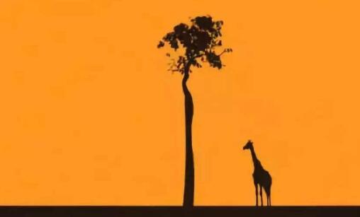 羅志祥發(fā)文否認(rèn)媽媽生病,請(qǐng)不要攻擊我媽媽