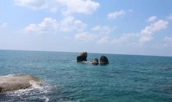 福建一鯊魚館發(fā)生致人死亡事故