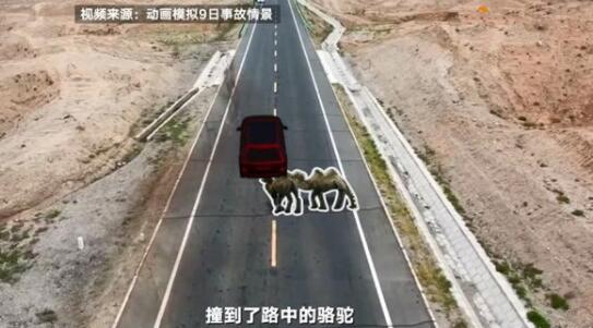 于月仙車(chē)禍?zhǔn)鹿仕緳C(jī)負(fù)全責(zé)