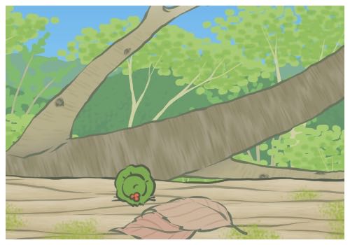 縣級業(yè)余草根球隊靠什么淘汰國安