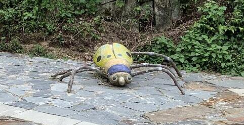 女子堵高速拍下百輛車占應(yīng)急車道