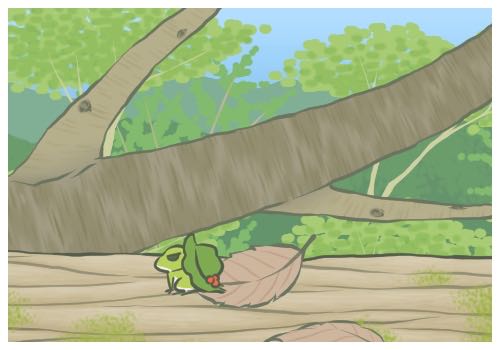 布偶貓價格多少錢一只