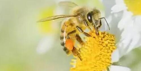 金價(jià)飆漲有人連夜拋售