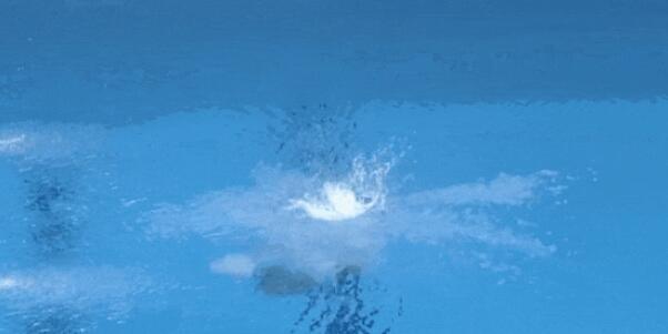 全紅嬋這一跳裁判全給10分