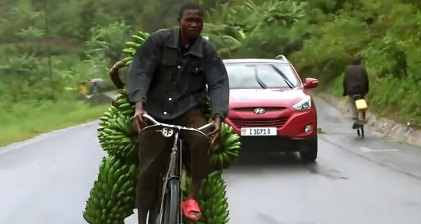 菲律賓水果對華出口暴跌