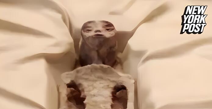 墨西哥國會(huì)揭曉外星人化石