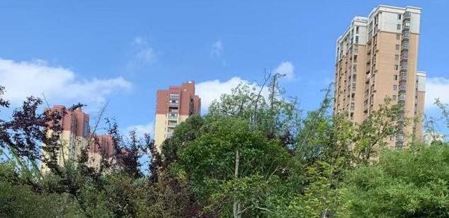 廣州一動物園兩只袋鼠對打到飛起