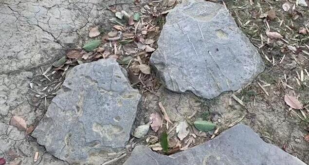 翡翠最不值錢的顏色