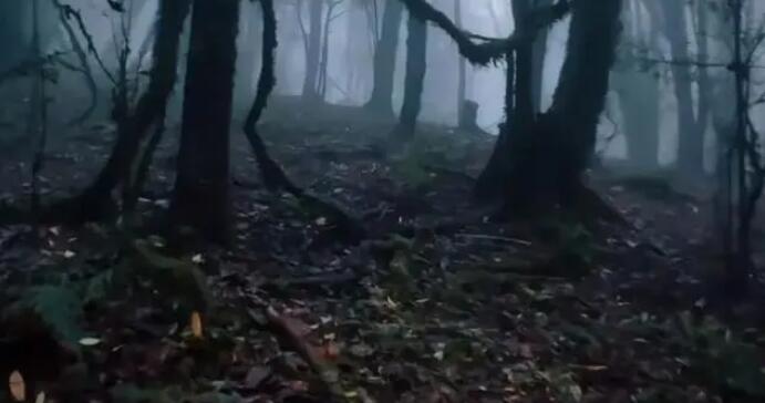 哀牢山景區(qū)發(fā)布安全警示