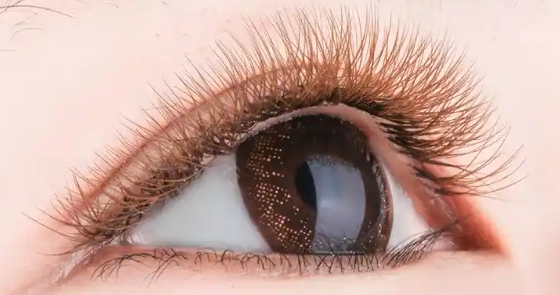 國產(chǎn)假睫毛成老外剛需