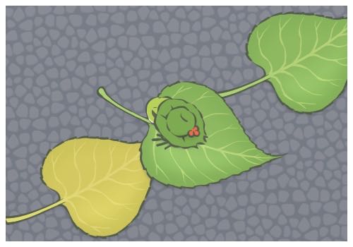 張?zhí)m汪小菲抖音賬號(hào)被無(wú)限期封禁